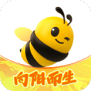 锐评赫瓦林斯卡：从批判月亮球到理解月亮球，再到欣赏月亮球